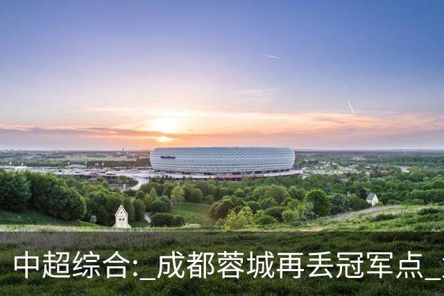 中超综合: 成都蓉城再丢冠军点 武汉三镇降级