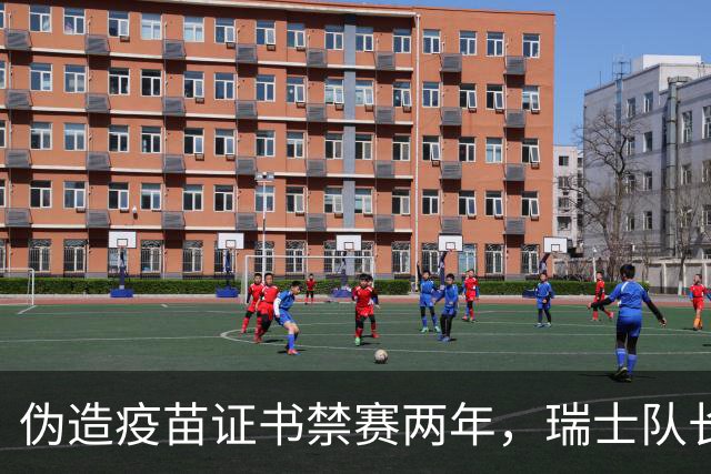 伪造疫苗证书禁赛两年，瑞士队长11月获准归队