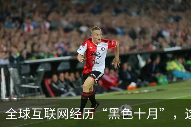 全球互联网经历“黑色十月”，这个中国AI在风暴来临前留了后手