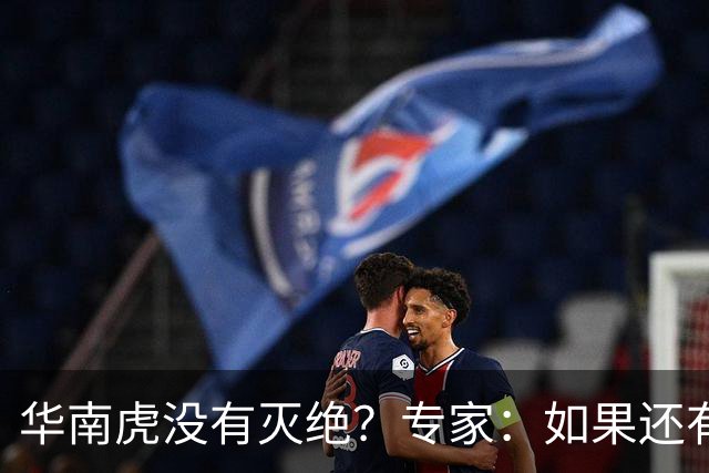 华南虎没有灭绝？专家：如果还有，最可能在山西，不在广东福建