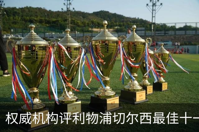 权威机构评利物浦切尔西最佳十一人：无利物浦两大猛将，一人滥竽充数