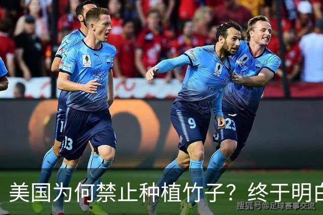 美国为何禁止种植竹子？终于明白，原来竹子比我们想象的更可怕