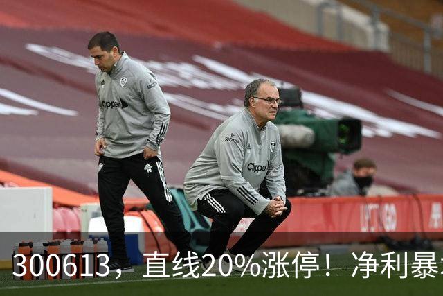 300613，直线20%涨停！净利暴增超800%